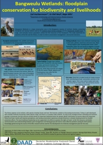Bangweulu swamps fish poster